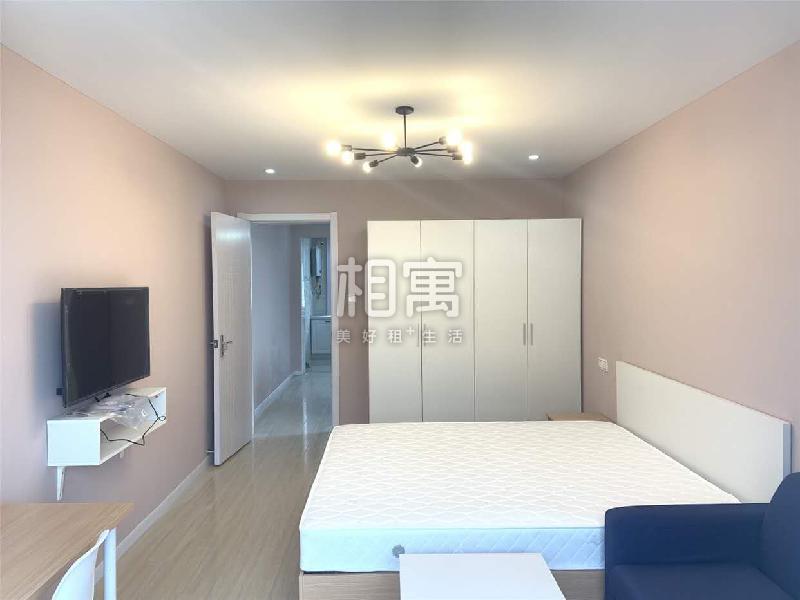 整租·真如·兰溪路221弄·1居室
